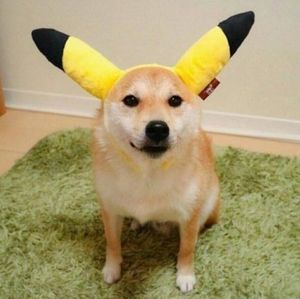 Meet your Posher, Yvette